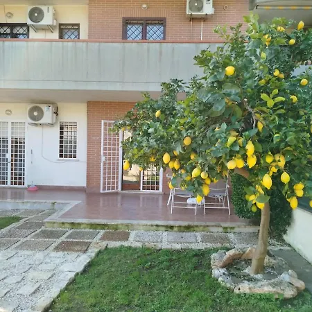 The Il Limone Marino * L'Americano